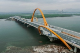 Độc đáo cây cầu uốn lượn giữa rừng ngập mặn ở Hạ Long