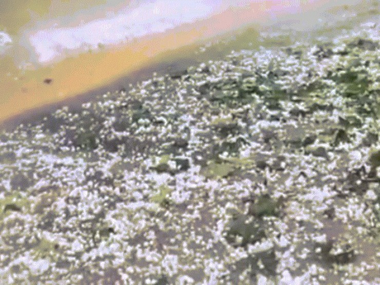 Mưa đá phủ trắng mặt đường ở Hà Giang