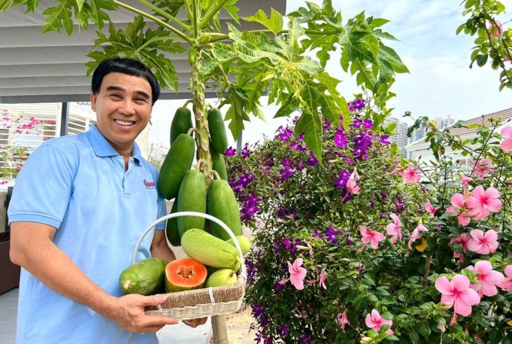 Trên sân thượng và khu vườn quanh biệt thự của vợ chồng Quyền Linh trồng nhiều loại rau quả như đu đủ, cóc, mướp, ớt, rau thơm, chanh, cà chua... Nhờ chăm chỉ vun trồng, gia đình nam MC có rau sạch ăn quanh năm.