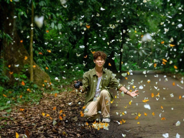 Về Cúc Phương, lạc lối giữa “thiên đường bướm“