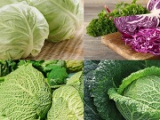 Sức khỏe đời sống - Cách ăn làm sạch máu trong cơ thể của người Nhật