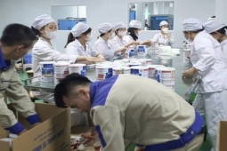Vụ sữa giả 500 tỷ đồng: Có 'vùng xám quản lý' không ai chịu trách nhiệm giám sát