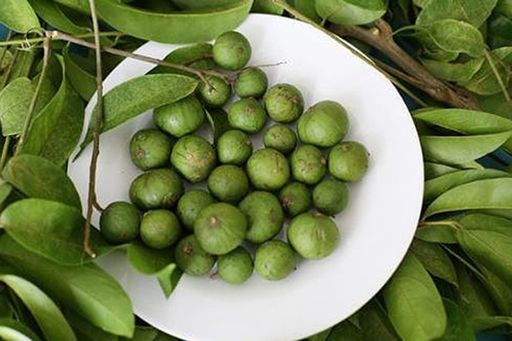 Mỗi khi đến mùa, các chợ dân sinh bán sấu với giá khá rẻ, chỉ khoảng 20.000 đồng/kg.&nbsp;
