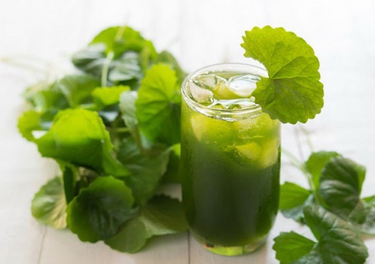 Ở các chợ dân sinh và siêu thị, rau má được bán với giá khoảng 40.000 đồng/kg. Ở các chợ dân sinh và siêu thị, rau má được bán với giá khoảng 40.000 đồng/kg.