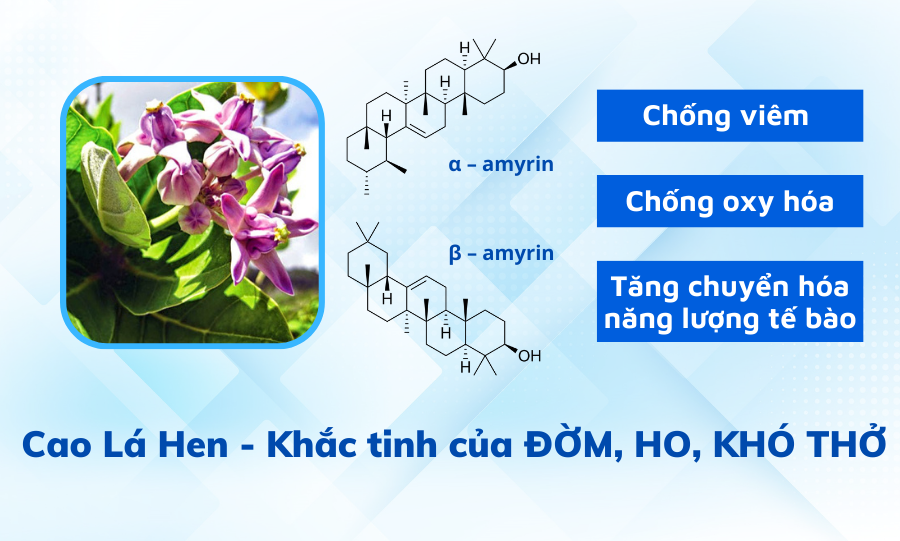 Gia vị quen thuộc này chính là “vệ sĩ” của phổi, đọc xong nhiều người “tiếc đứt ruột” vì bỏ phí! - 3