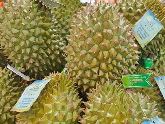 Giá sầu riêng Ri 6 đội gấp 3 từ vườn đến chợ, vì sao?