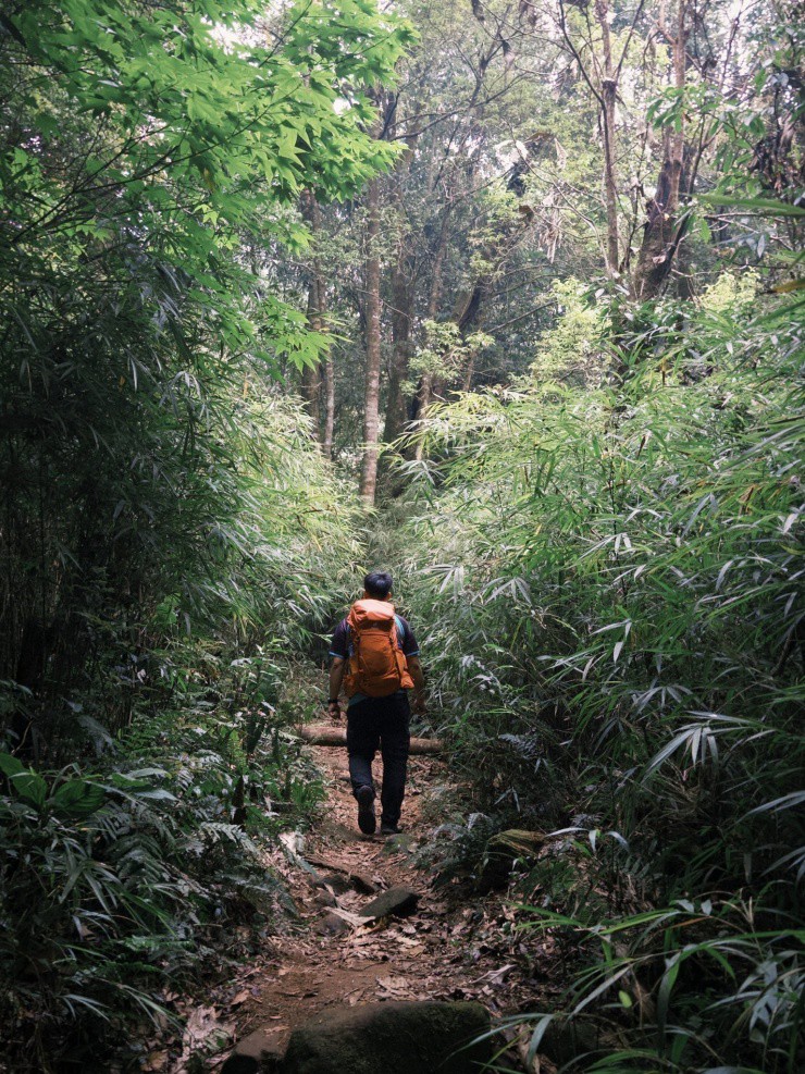 Chuyến trekking thú vị.