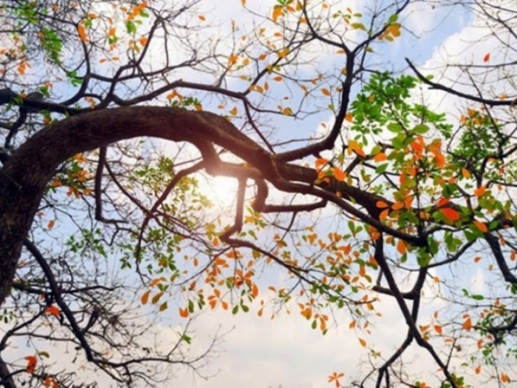 Hà Nội nắng nhẹ, Nam Bộ trời nóng sau mưa to