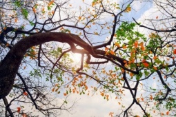 Hà Nội nắng nhẹ, Nam Bộ trời nóng sau mưa to