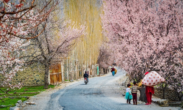 Lạc bước giữa mùa xuân Pakistan - 4