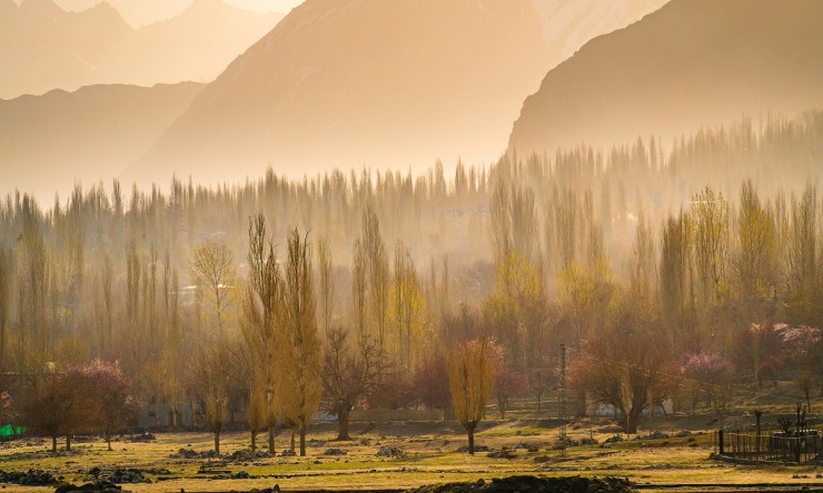 Lạc bước giữa mùa xuân Pakistan - 5
