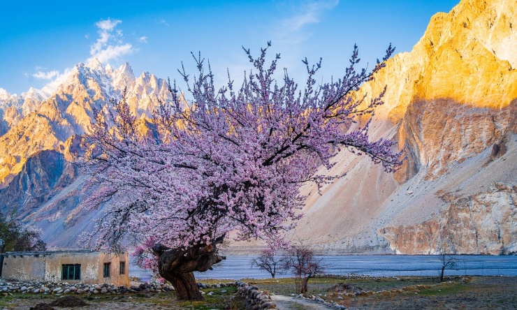 Lạc bước giữa mùa xuân Pakistan - 9
