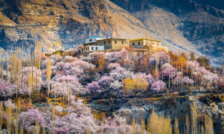 Lạc bước giữa mùa xuân Pakistan - 10