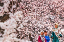 Lạc bước giữa mùa xuân Pakistan