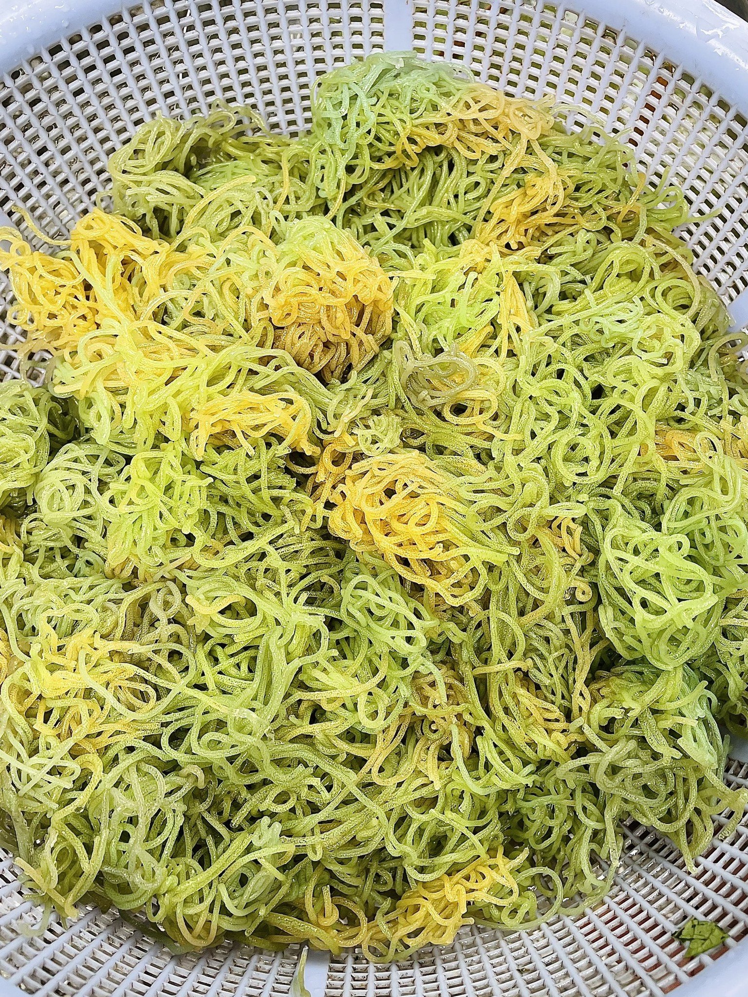 Đặc sản kỳ lạ ở Đà Nẵng trông như bún, ăn thanh mát, giòn ngon giống rau câu - 5