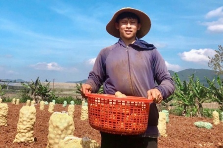 Du học dang dở, 9x về quê làm nông nghiệp thu tiền tỷ