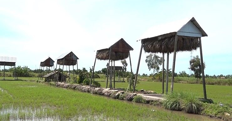 Chuồng phải cao ráo, thoáng mát về mùa hè, ấm về mùa đông và luôn sạch sẽ. Làm sao để nhiệt độ trong chuồng ổn định ở mức 30-32 độ C là tốt nhất.

