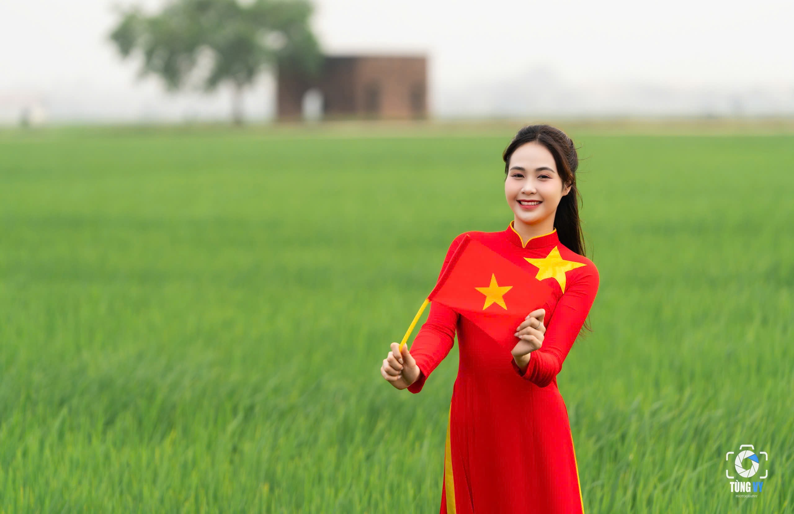 Chụp "trend yêu nước" bên cánh đồng lúa xanh mướt - 4