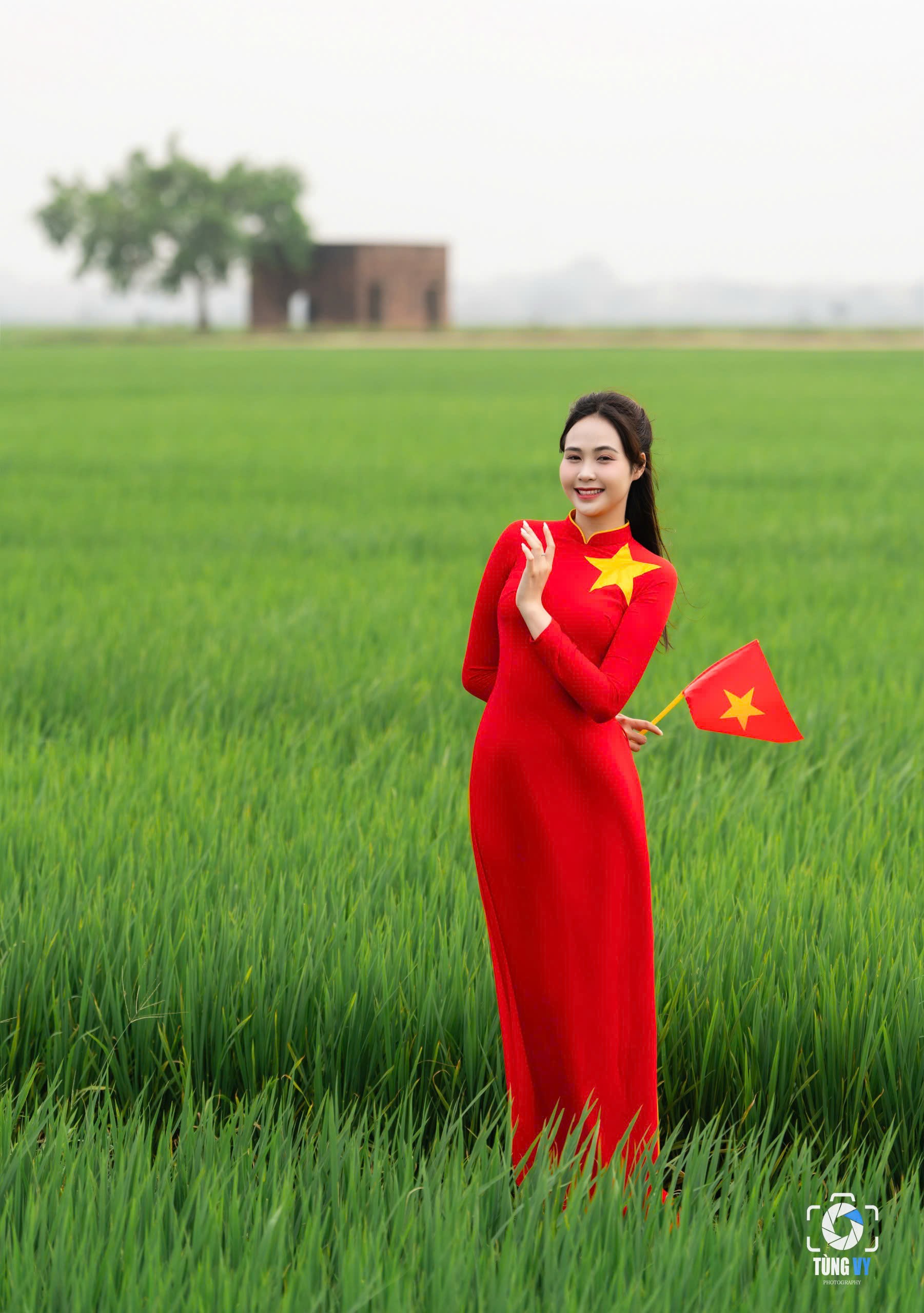 Chụp "trend yêu nước" bên cánh đồng lúa xanh mướt - 3