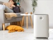 Những điều cần lưu ý khi mua máy lọc không khí giá rẻ