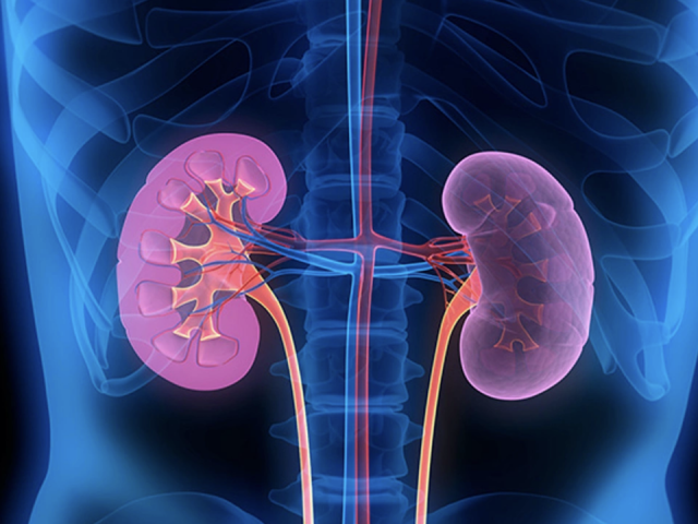 7 thói quen tưởng vô hại khiến thận tổn thương