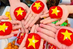 Mẹ đảm làm bánh  " xu xê yêu nước "  khiến ai cũng trầm trồ vì quá đẹp