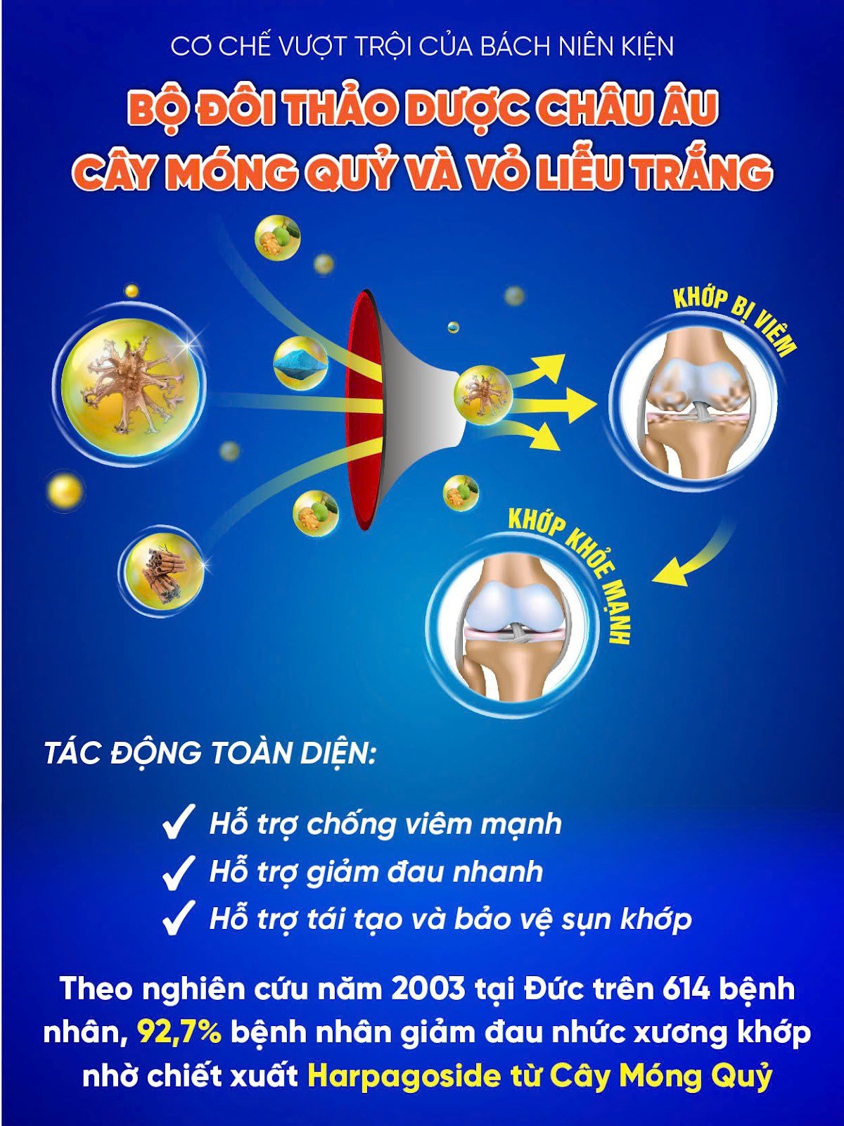 Thay đổi thời tiết &#39;tàn phá&#39; xương khớp: Cảnh báo nguy cơ tàn phế nếu người viêm khớp, thoái hóa khớp chủ quan! - 4