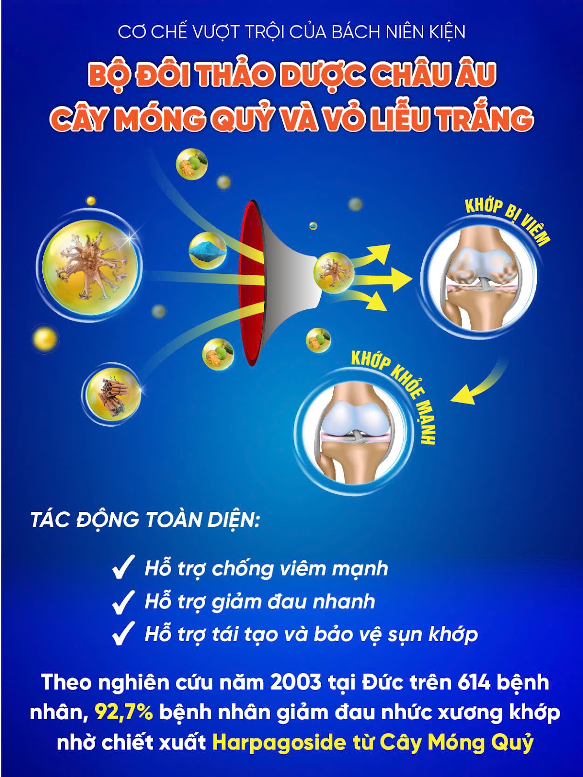 6 thói quen “rút ngắn tuổi thọ” xương khớp - Nhiều người vẫn mắc - 5