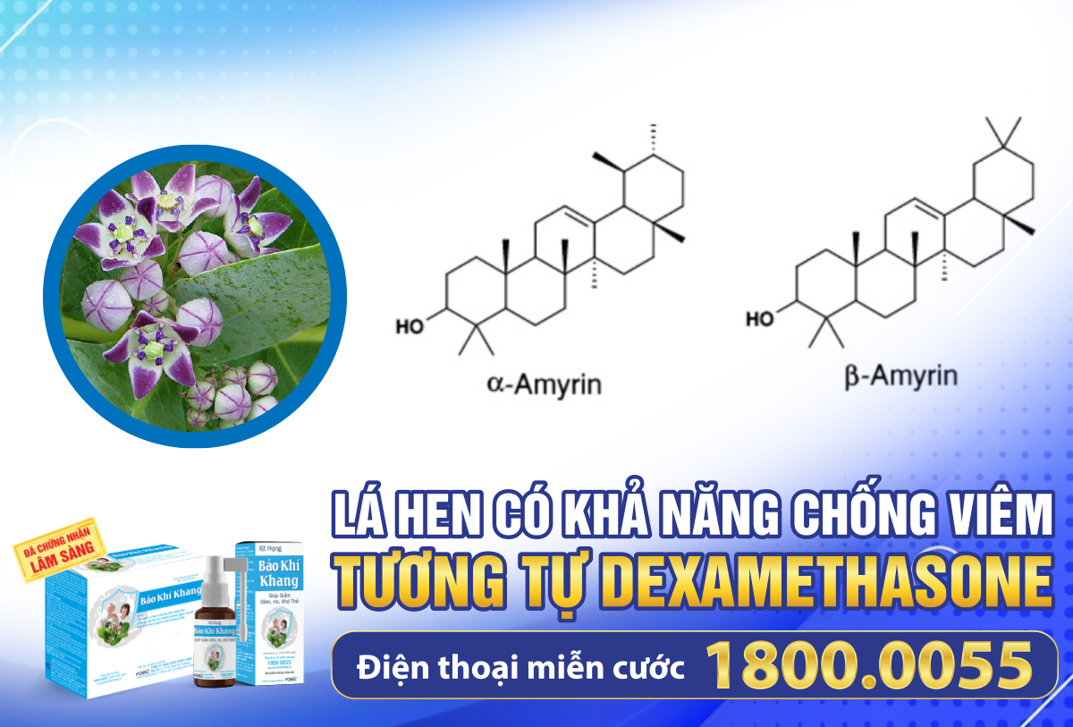 Đêm đi ngủ làm 3 điều này, “tàn phá” phổi không kém gì thuốc lá nhưng hầu như ai cũng mắc! - 3