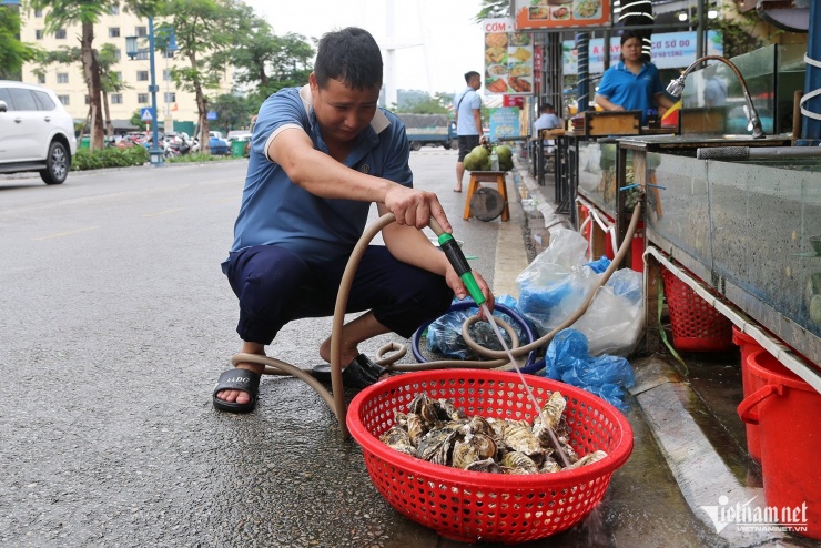 Dịp nghỉ lễ 30/4 năm nay, các nhà hàng ở Hạ Long không nhập hải sản nhiều như mọi năm. Ảnh: Phạm Công