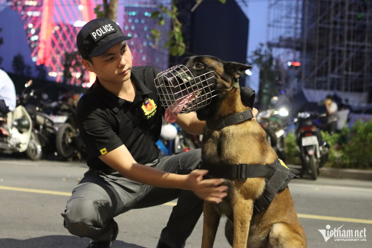 Một trong những tiêu chí quan trọng nhất của chó phát hiện chất nổ là hệ thần kinh cân bằng, linh hoạt