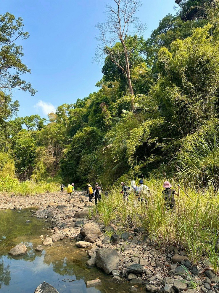 Trekking Vườn quốc gia Bù Gia Mập.