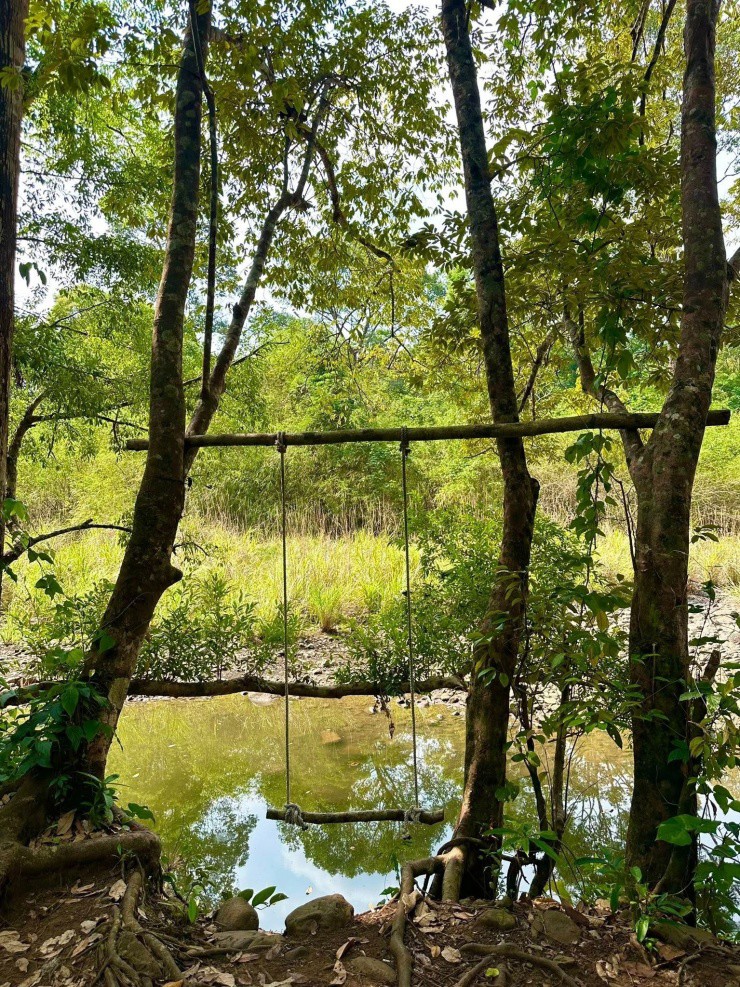Cảnh đẹp nên thơ.