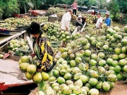Thị trường - Tiêu dùng - Loại quả Việt Nam có 2 triệu tấn, khách Mỹ và Trung Quốc tranh mua để giải nhiệt