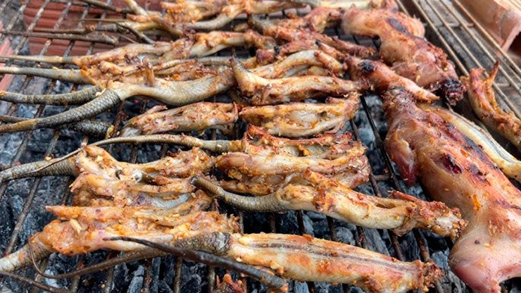 Hiện nhiều hộ dân ở miền Tây Nam Bộ còn mở rộng mô hình nuôi rắn mối để bán rắn thương phẩm. Thức ăn của loài này là bò sát và các loại hoa quả có vị ngọt.
