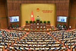Những kiến nghị quan trọng trong việc sửa đổi Hiến pháp năm 2013