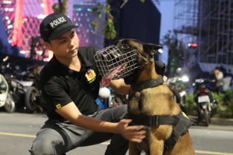 Những trợ thủ đặc biệt của cảnh vệ chuyên phát hiện chất nổ ở phòng VIP lễ 30/4