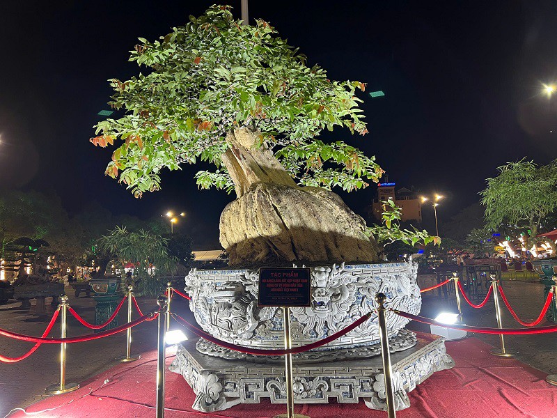 “Nếu làm từ Huế rồi chuyển về Đắk Lắk thì chi phí rất lớn vì chậu to và quá khổ. Vì vậy, tôi đã về Huế đón các nghệ nhân lên Đắk Lắk làm trực tiếp”, anh Thọ nói.