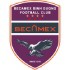 Trực tiếp bóng đá Hà Tĩnh - Bình Dương: Trọng Hoàng ghi bàn ấn định (V-League) (Hết giờ) - 1
