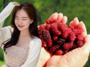 Làm đẹp - Loại quả mệnh danh “dân gian thánh quả”, chị em Việt đem làm nước uống dưỡng da trắng hồng hào như đi spa, tiến sĩ Mỹ cũng ca ngợi