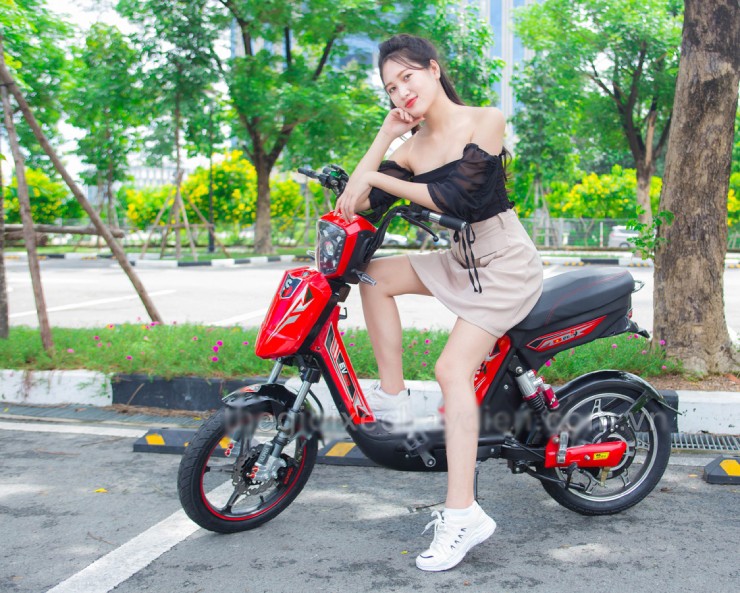 Giá xe đạp điện EV mới nhất đầu tháng 5/2025 - 1