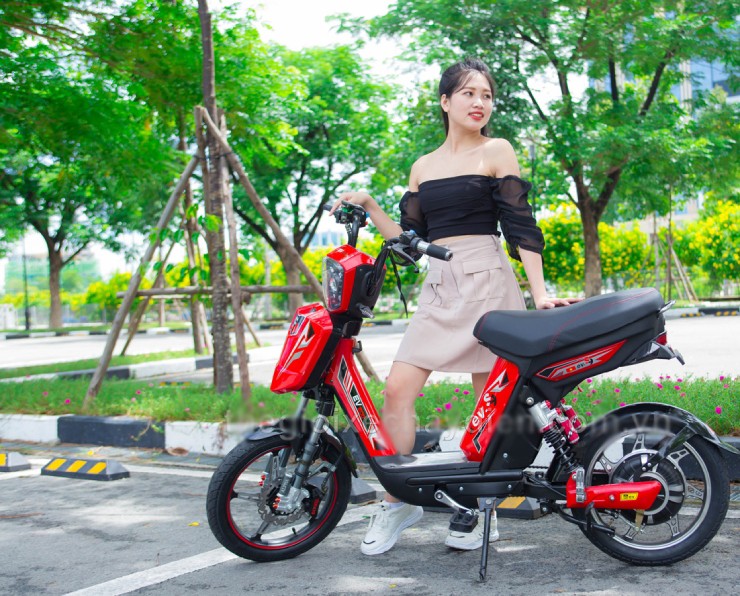 Giá xe đạp điện EV mới nhất đầu tháng 5/2025 - 2