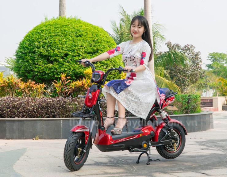Giá xe đạp điện EV mới nhất đầu tháng 5/2025 - 3