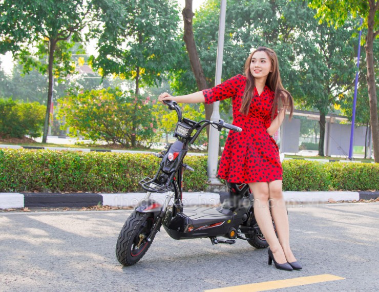 Giá xe đạp điện EV mới nhất đầu tháng 5/2025 - 4