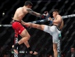 Quang Lê tạo địa chấn UFC Fight Night, tung đòn siết khiến "mãnh thú" đầu hàng