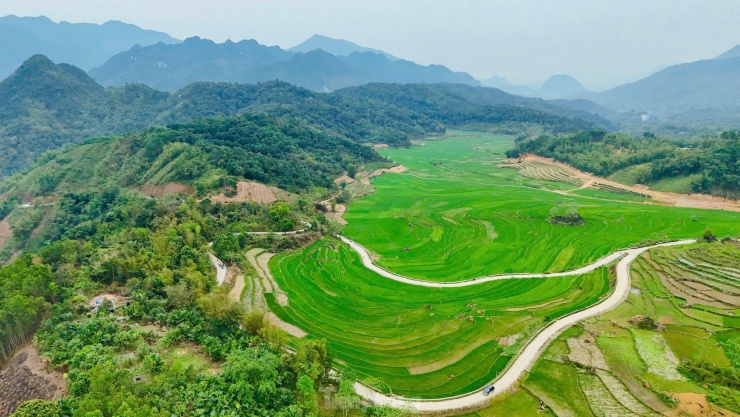 Ruộng bậc thang xanh mướt mùa lúa non &#39;đốn tim&#39; du khách - 8