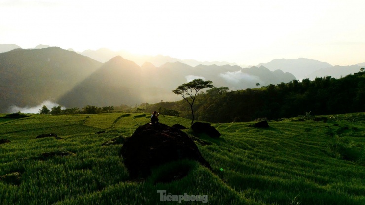 Ruộng bậc thang xanh mướt mùa lúa non &#39;đốn tim&#39; du khách - 11
