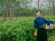 Mục sở thị ‘ngôi làng chữa lành’ giữa lòng cố đô