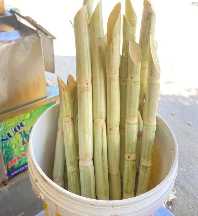 Mùa hè là thời điểm các hàng nước mía bán chạy.