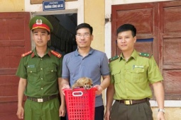 Thấy  " vật lạ "  trong vườn nhà, không ngờ là loài quý hiếm